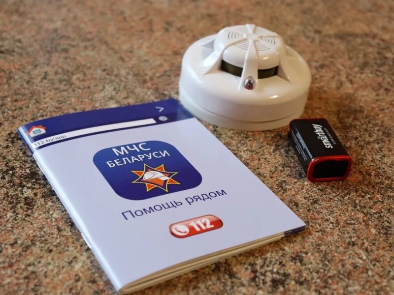 Домашний «ангел-хранитель»