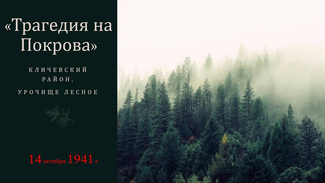 Дорогие земляки! Сообщаем о закрытии сбора средств на реализацию гражданской инициативы «Трагедия на Покрова»!