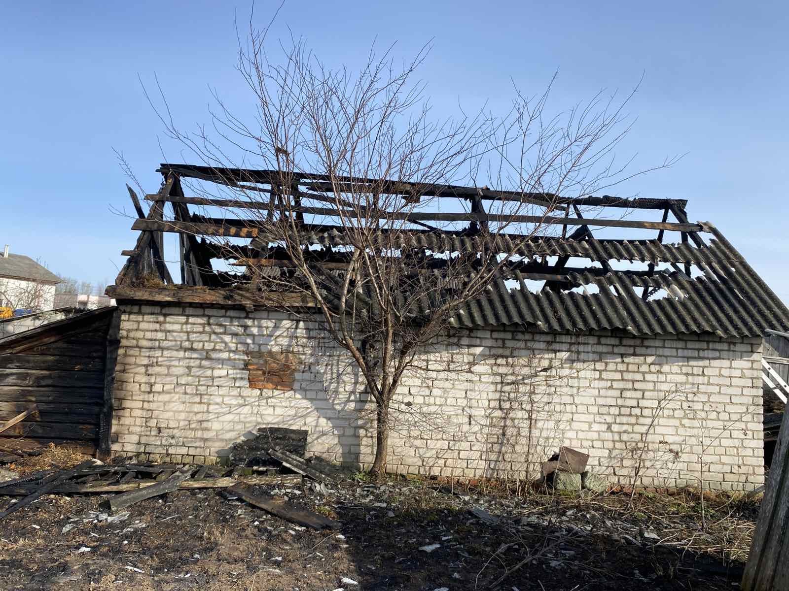 К чему приводят палы травы?