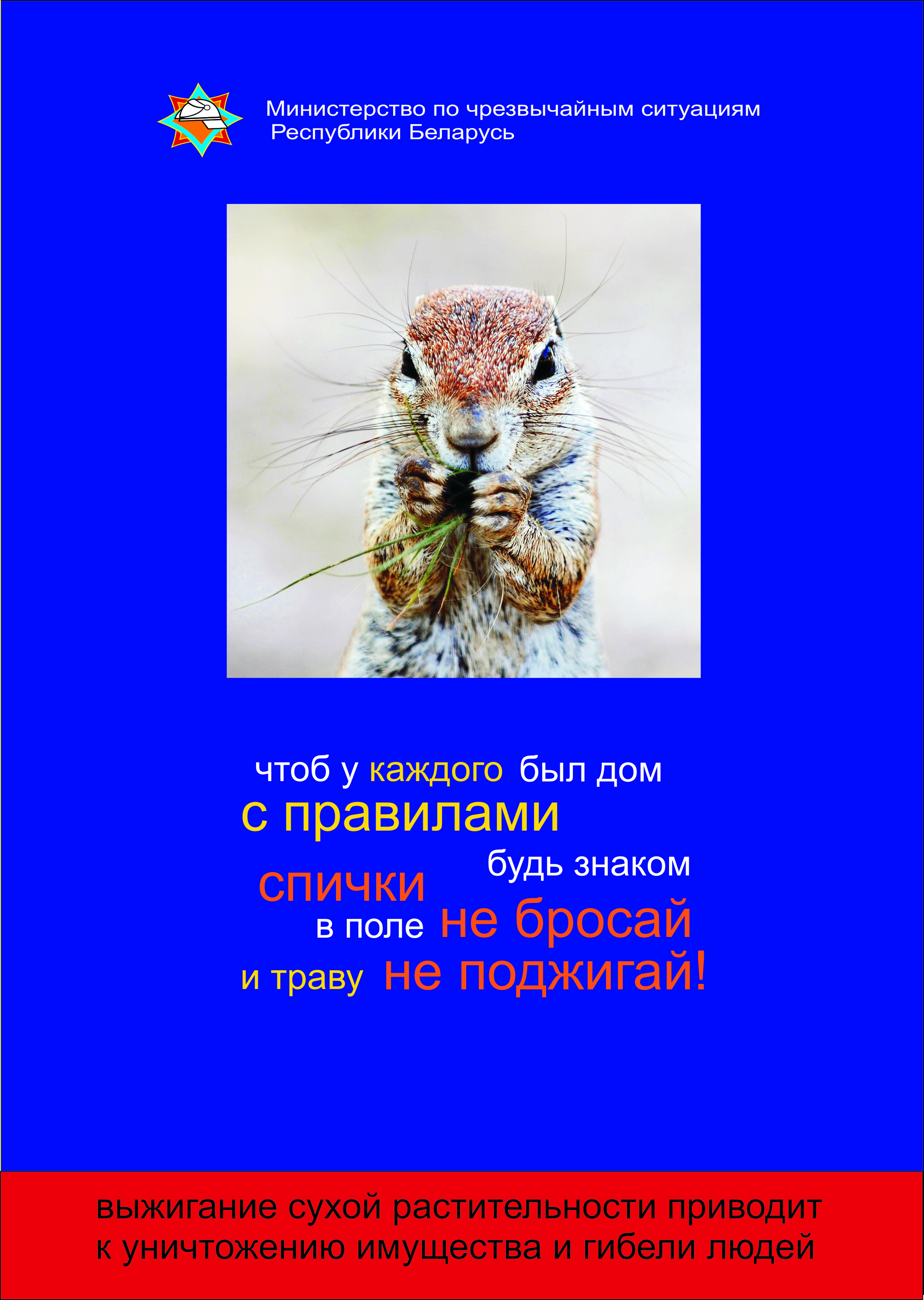 Огонь – не помощник, а враг: почему выжигание сухой растительности ЗАПРЕЩЕНО!