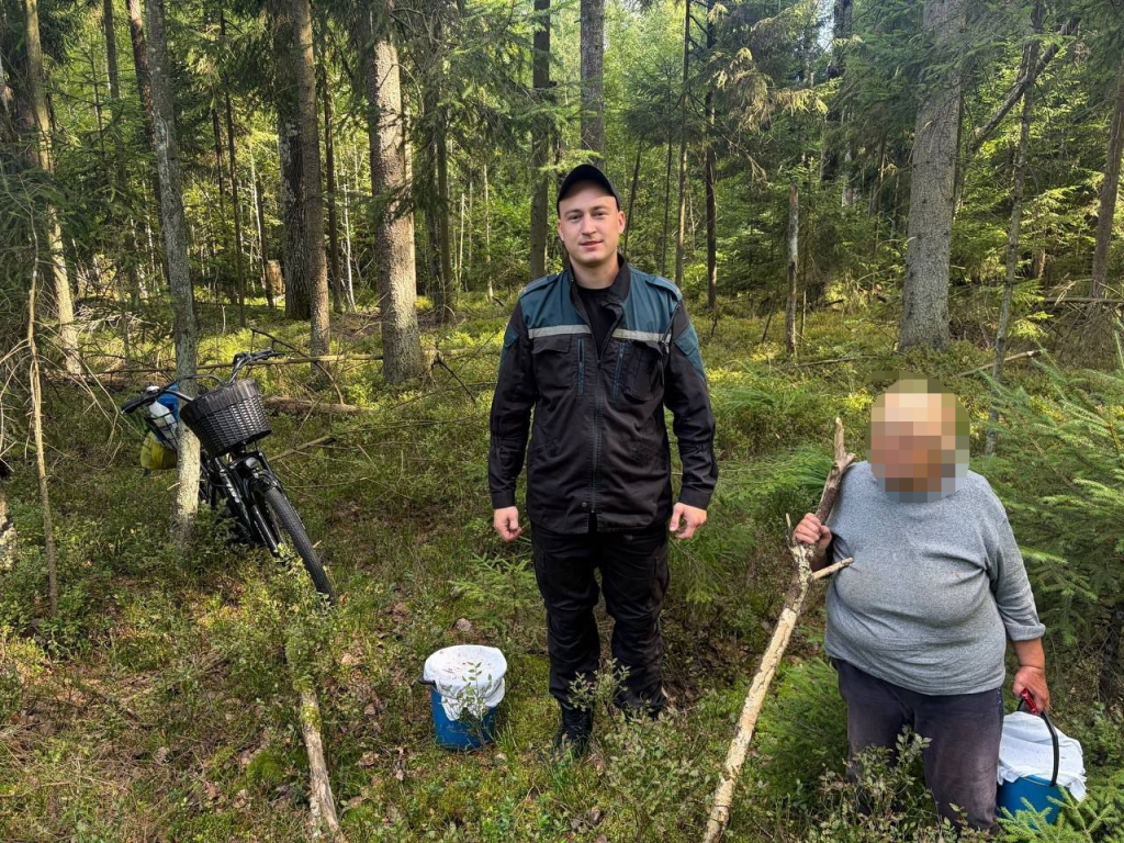 За сутки в лесных массивах области заблудились трое пенсионеров : на помощь пришли спасатели
