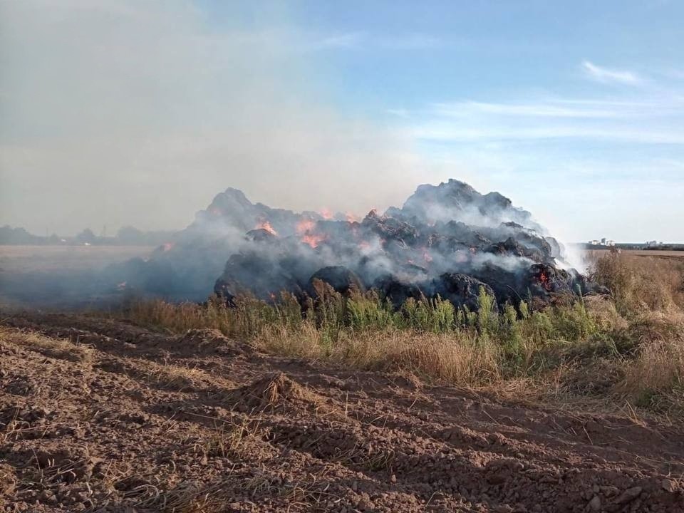 Цена детского любопытства