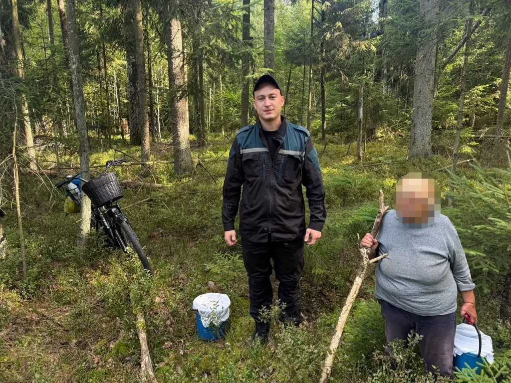 За сутки в лесных массивах области заблудились трое пенсионеров : на помощь пришли спасатели