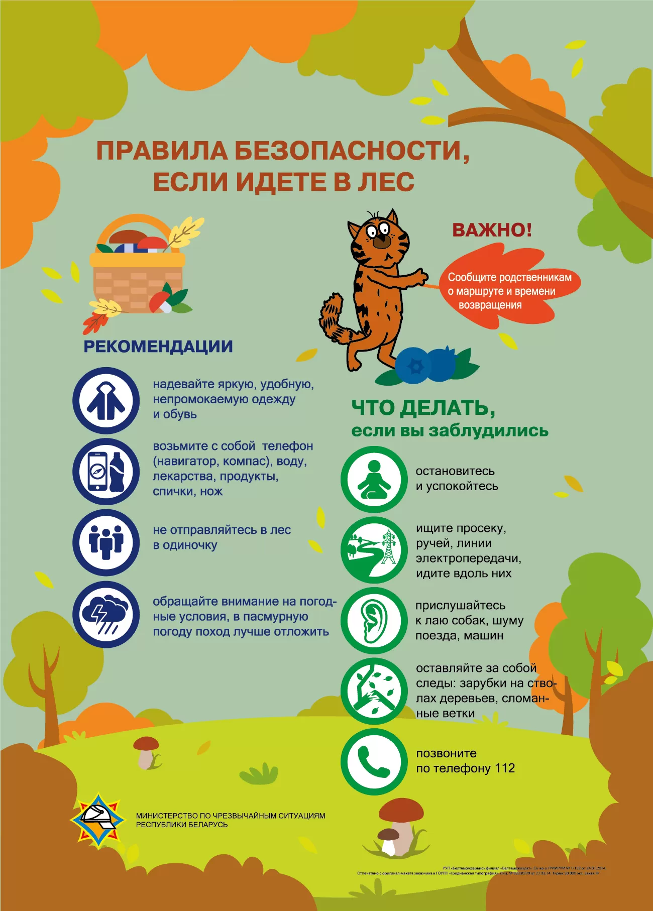 Что делать, если заблудились в лесу?