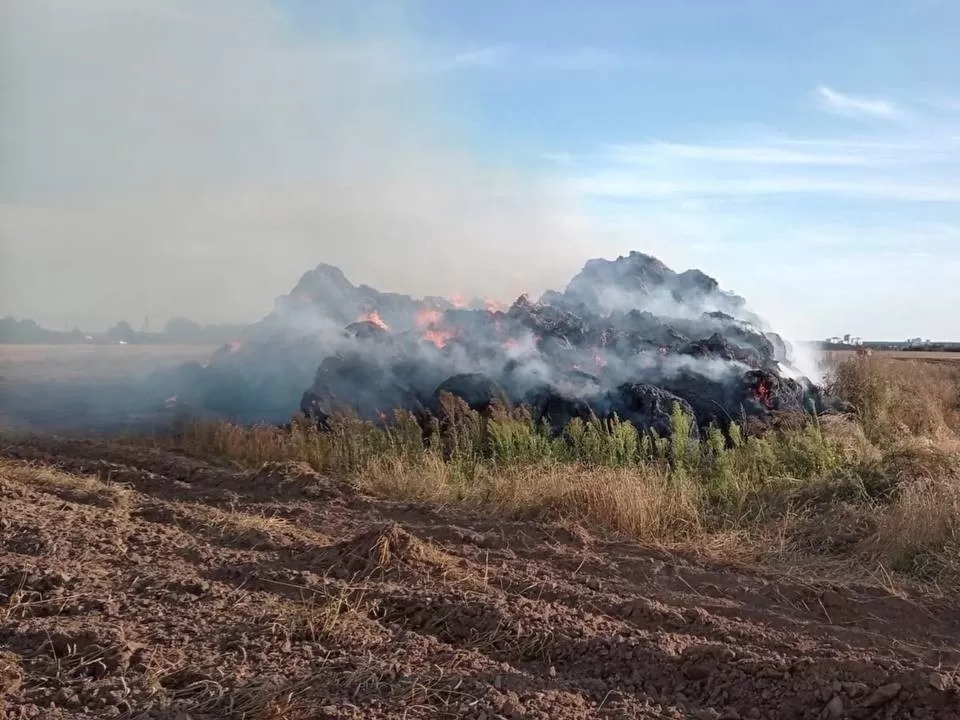 Цена детского любопытства