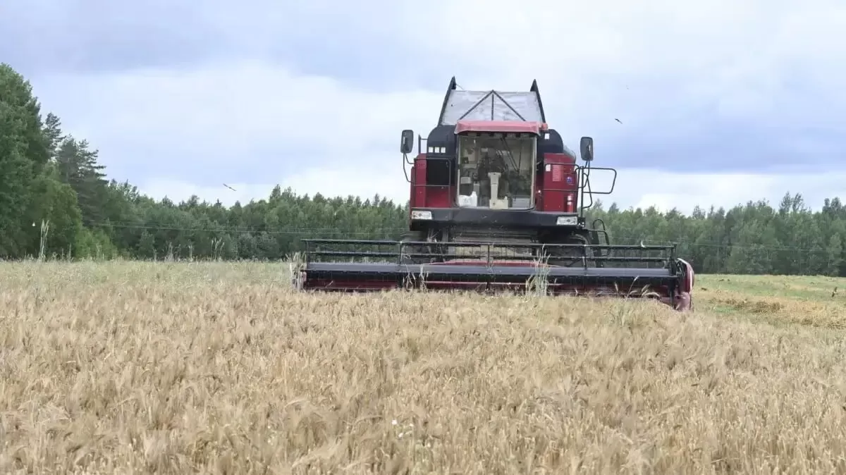 Доска почёта уборочной-2026 на 19 августа.