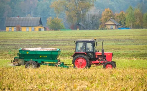 Як пасля ўборкі кукурузы сеюць азімыя
